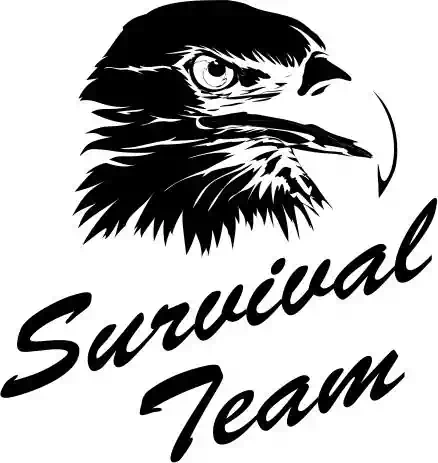 logo -artnera - Survival Team Logo